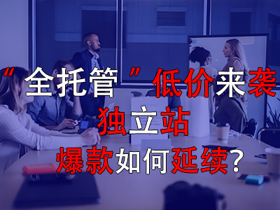 全托管低價來襲，獨立站爆款如何延續(xù)？