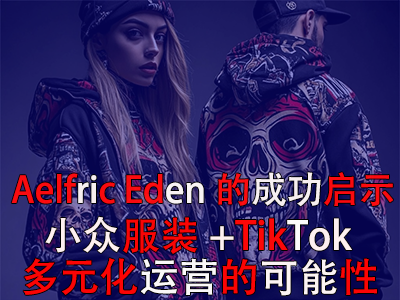 Aelfric Eden的成功啟示：小眾服裝+TikTok多元化運營的可能性