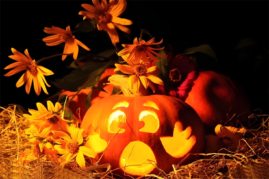 t恤定制萬(wàn)圣節(jié)元素